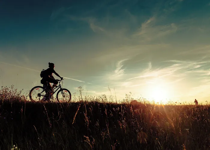 Original Sokos Royal